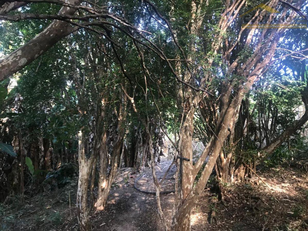 WhatsApp Image 2021-07-14 at 14.07.30 (10).jpeg